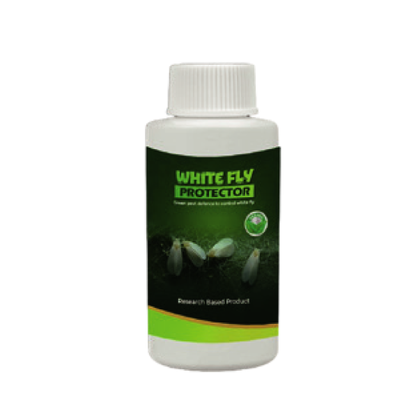 WHITE FLY PROTECTOR